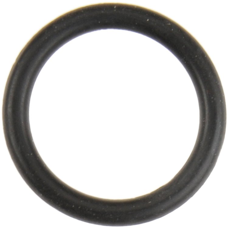 Water Pipe Sealing Ring BMW 3.0L 4.4L DOHC 1994-2003