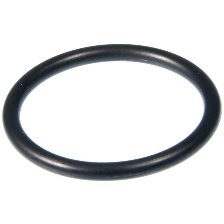 Water Pipe Sealing Ring BMW 2996cc 3.0L DOHC 24V 2006-2010