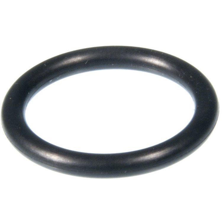 Water Pipe Sealing Ring BMW 2.5L 2.8L 3.0L 1998-2006