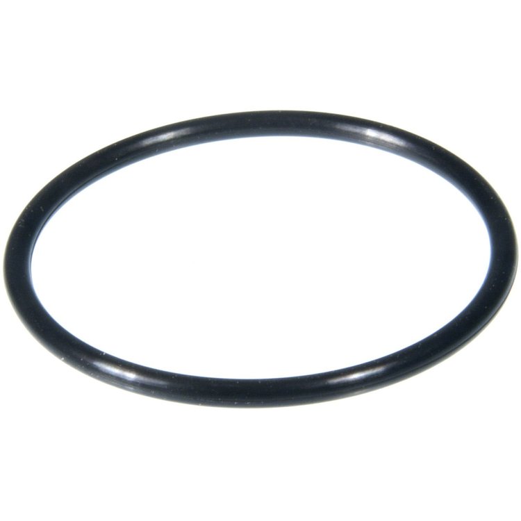 Water Outlet Gasket GM 2.5L Vin 4 2001-2004