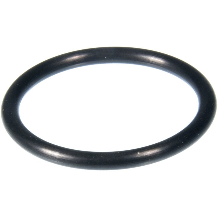 Water Pipe Gasket GM 2.5L Vin 4 2001-2004