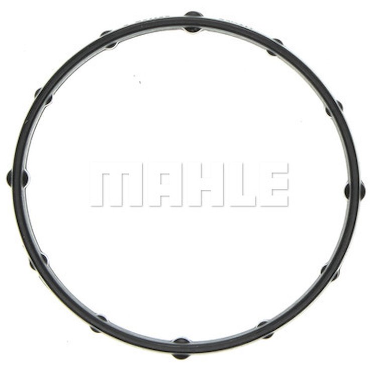 Thermostat Gasket