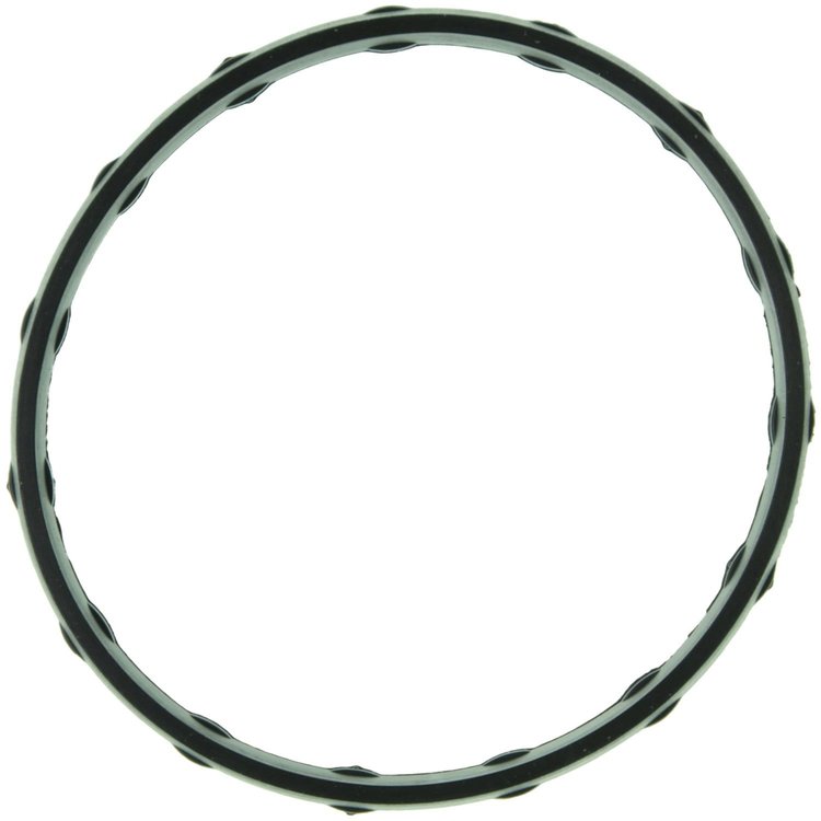 Plenum Tube General Motors Truck 6.6L Duramax Diesel 2006-Up VIN 2 Express/Savanna Van