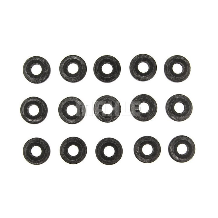 Valve Cover Grommet Set
