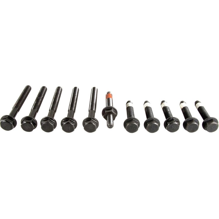 Cylinder Head Bolts 1968-2001 Small Block Ford 302 5.0L