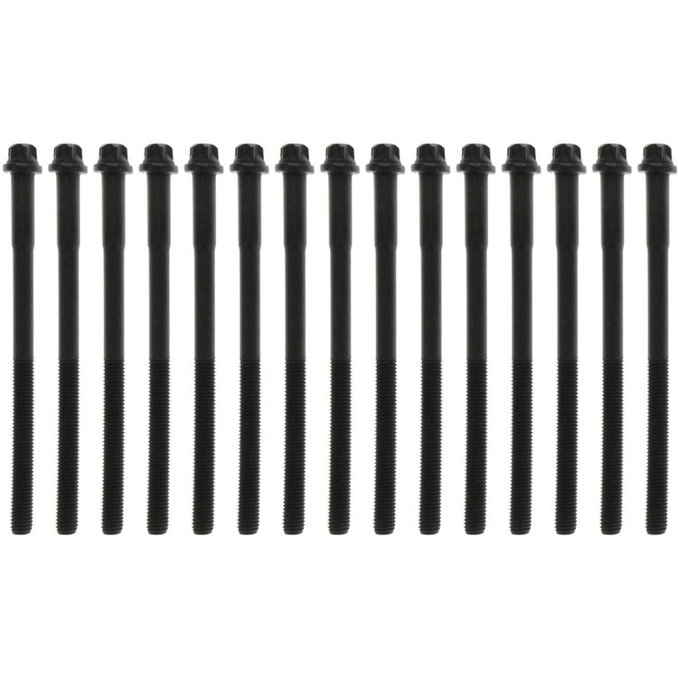 Cylinder Head Bolts BMW 2.5l and 2.7l 1984-1991 M10 Outer Torx