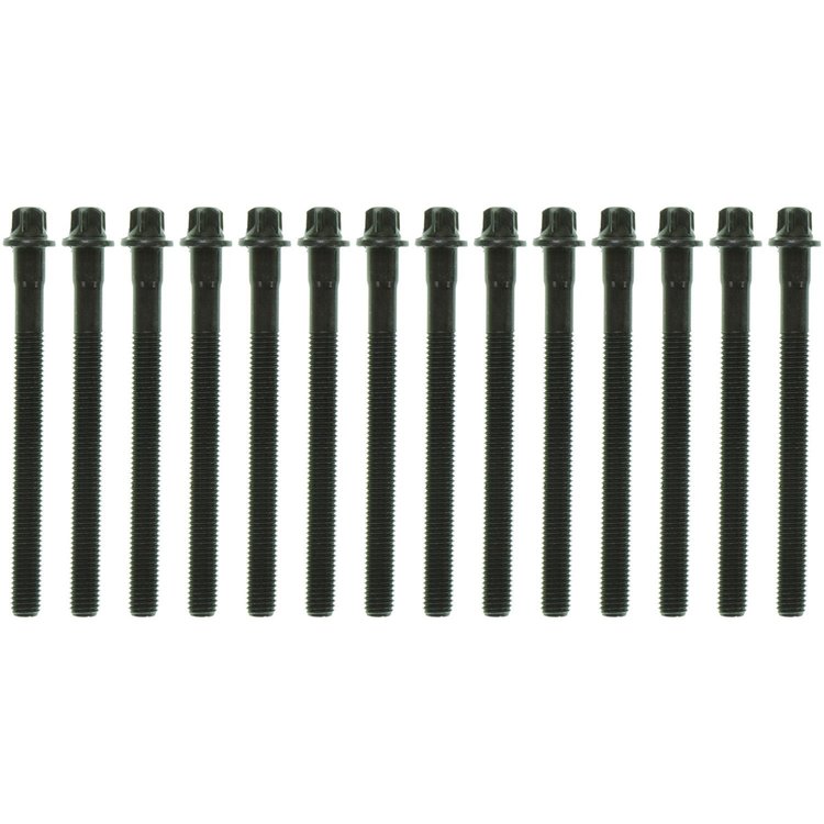 Cylinder Head Bolts BMW 2.0l and 2.5l 1998-2006 M10 Outer Torx x 110mm length