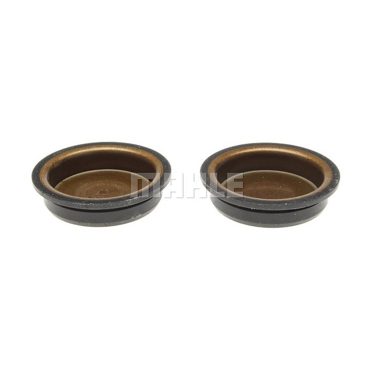 Camshaft Plug Set