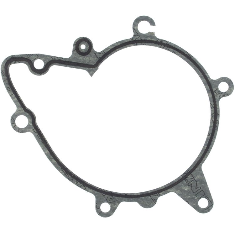 Water Pump Gasket BMW 3.0L 4.0L 4.4L 4.6L DOHC 32V 1994-2003