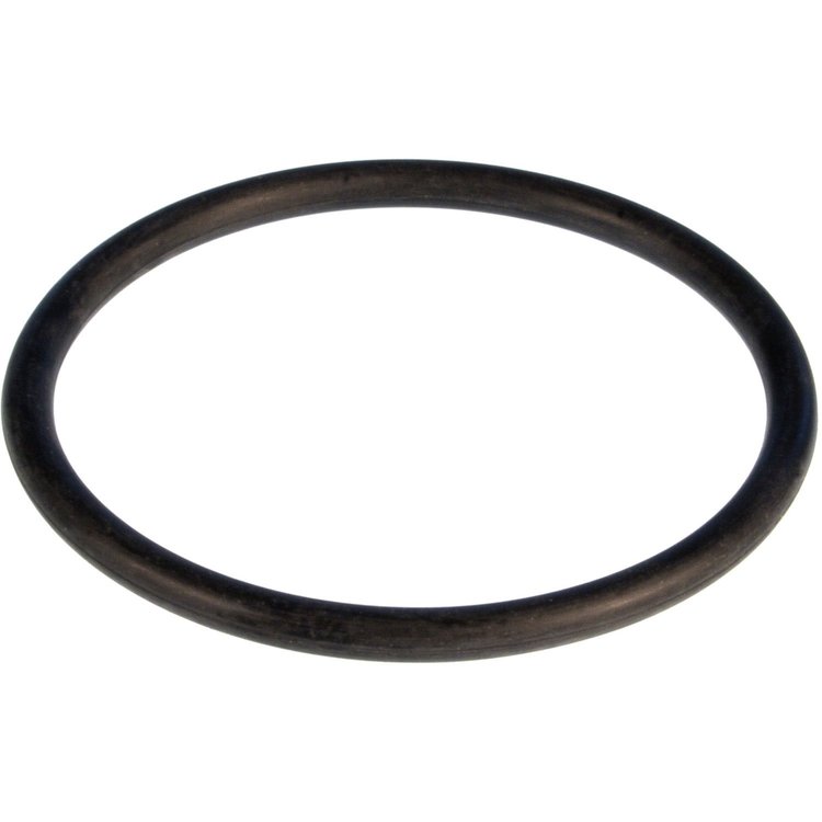 Water Pump O-Ring BMW WATER PUMP O-RING