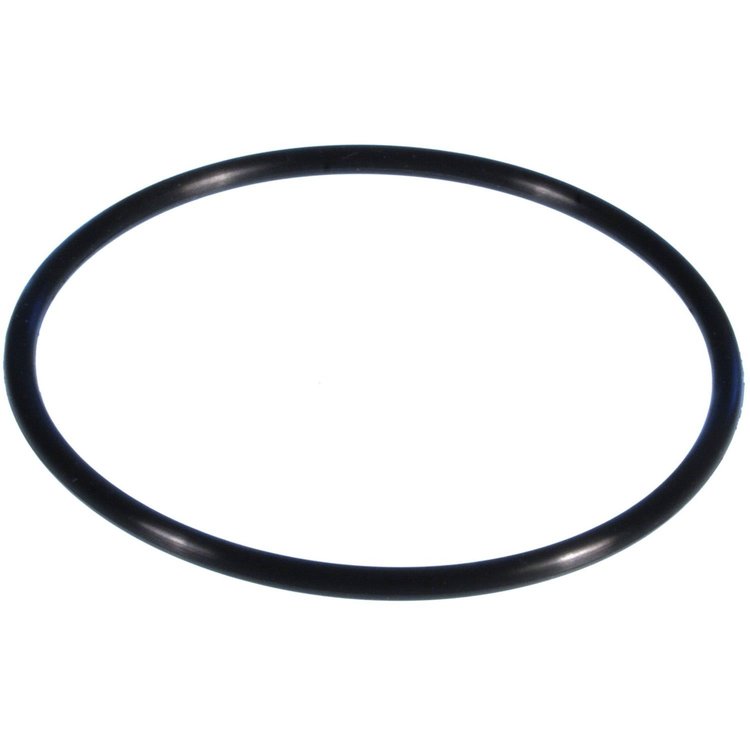 Water Pump Gasket GM 2.5L Vin 4 2001-2004