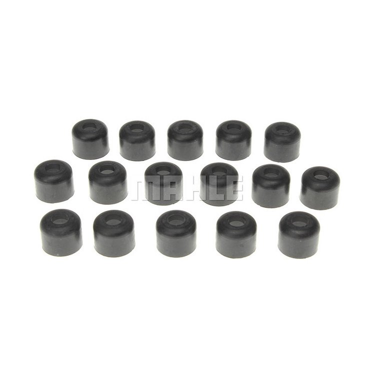 Valve Stem Seal Set