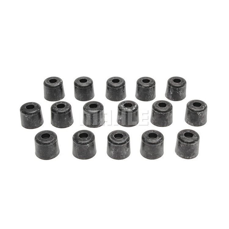 Valve Stem Seal Set