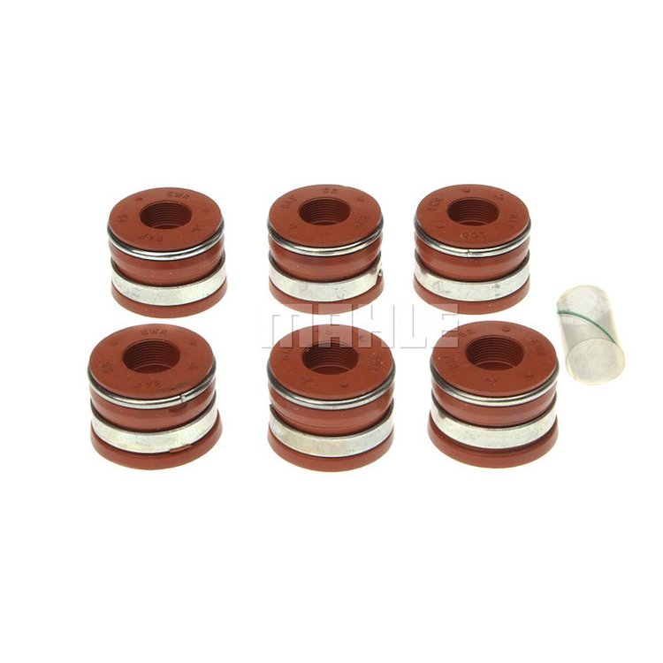 Valve Stem Seal Set