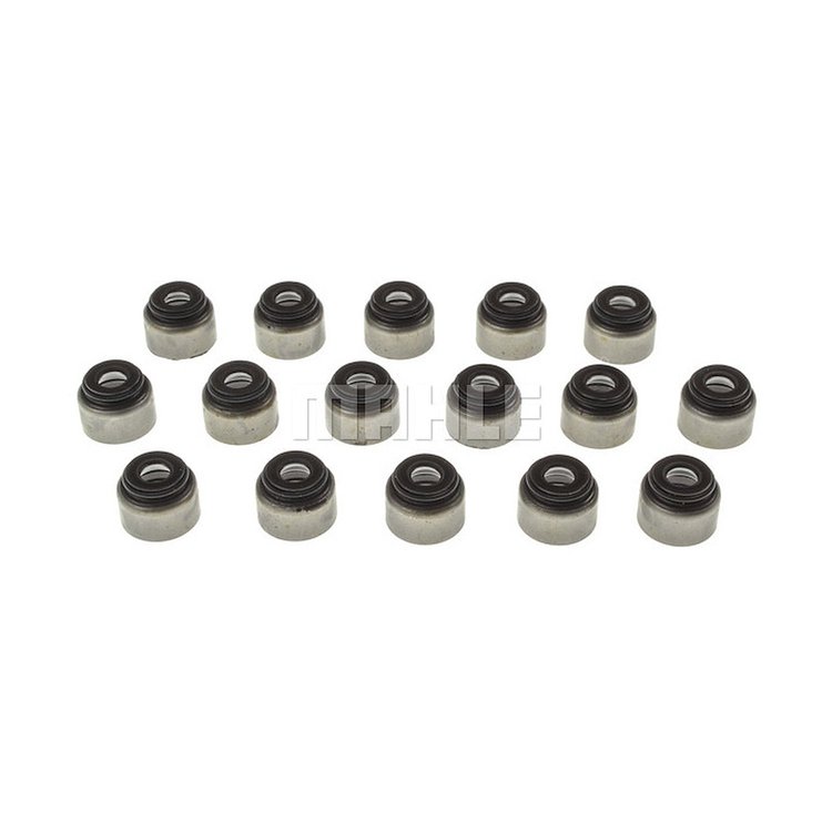 Valve Stem Seal Set