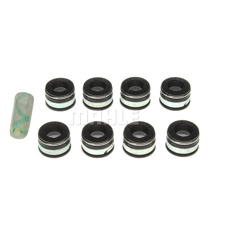Valve Stem Seal Set