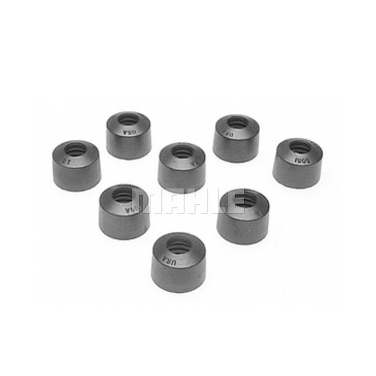 Valve Stem Seal Set