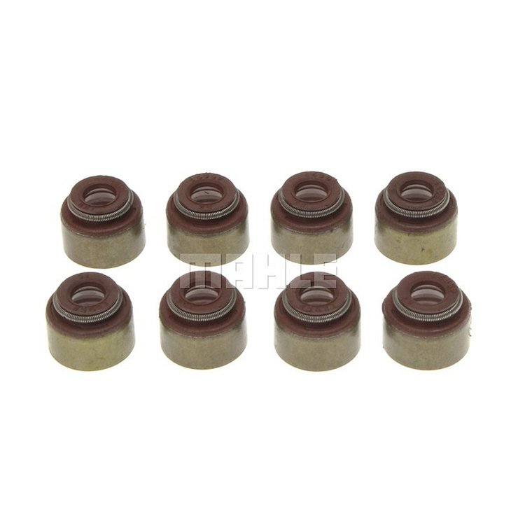 Valve Stem Seal Set