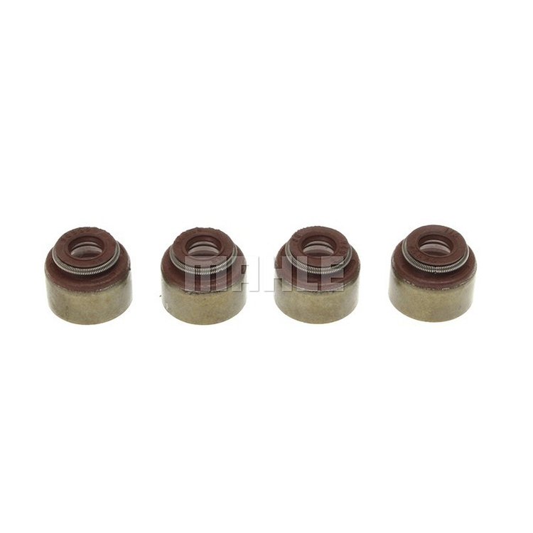 Valve Stem Seal Set