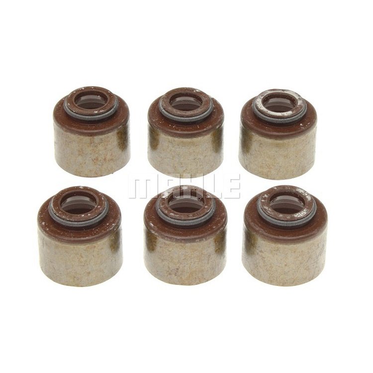 Valve Stem Seal Set