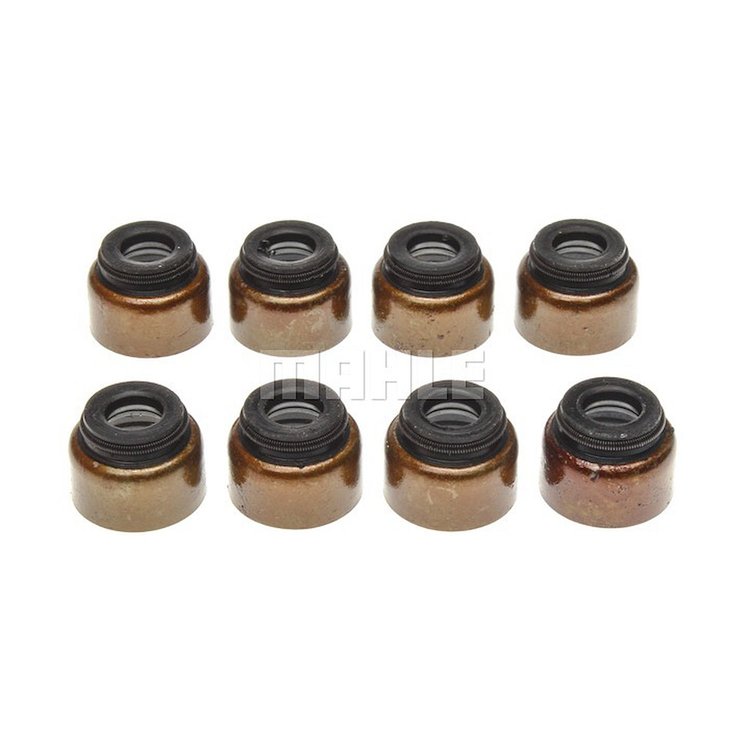 Valve Stem Seal Set