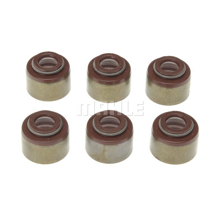 Valve Stem Seal Set