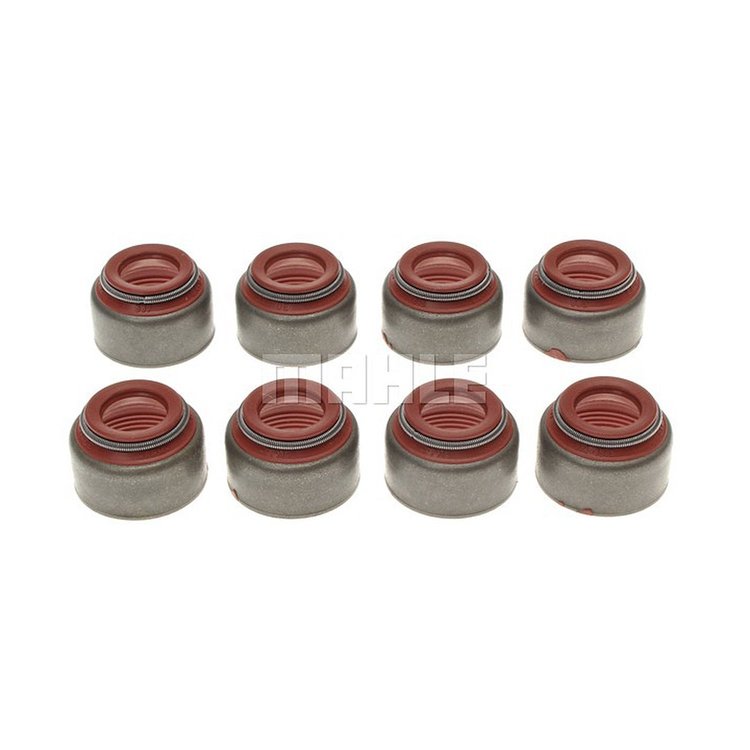 Valve Stem Seal Set