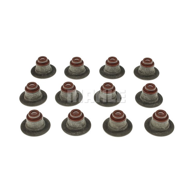 Valve Stem Seal Set