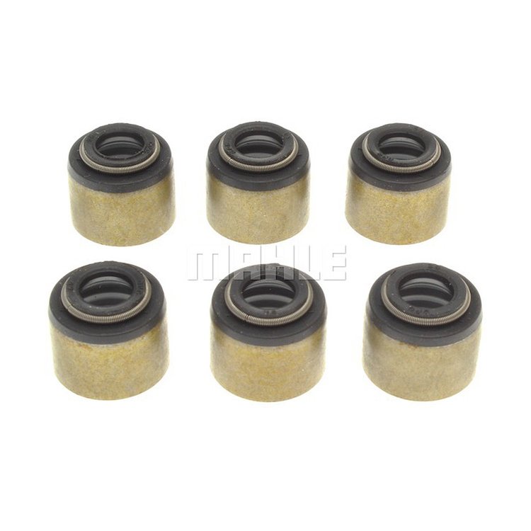 Valve Stem Seal Set