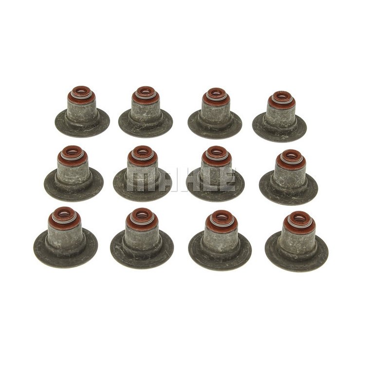 Valve Stem Seal Set