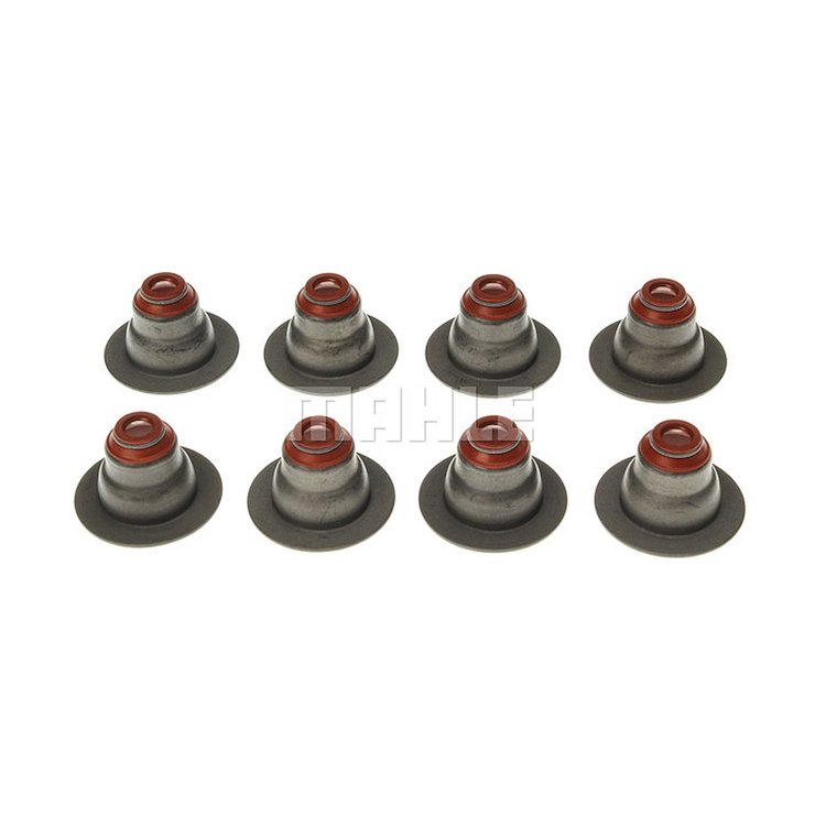 Valve Stem Seal Set