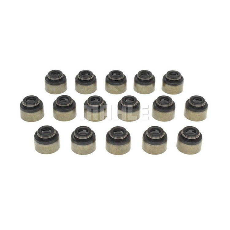 Valve Stem Seal Set