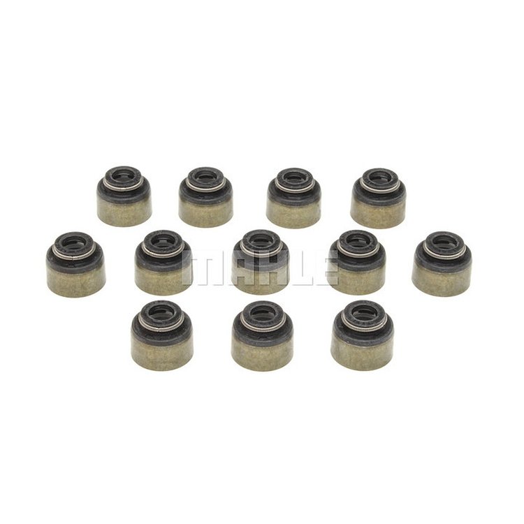 Valve Stem Seal Set