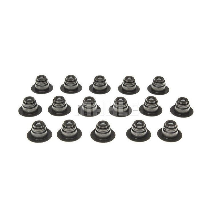 Valve Stem Seal Set