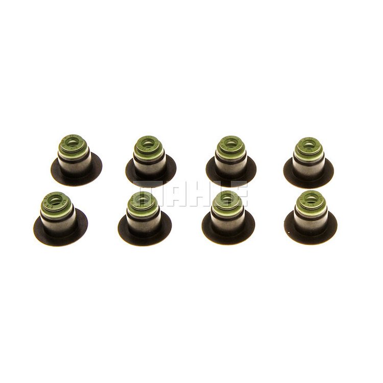 Valve Stem Seal Set
