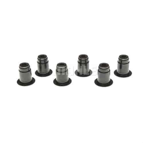 Valve Stem Seal Set