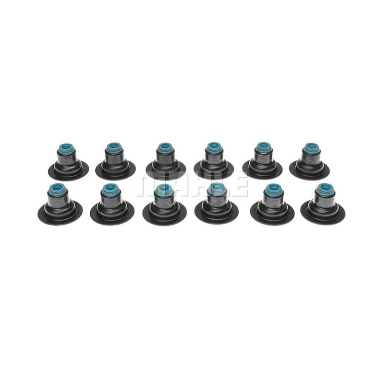 Valve Stem Seal Set