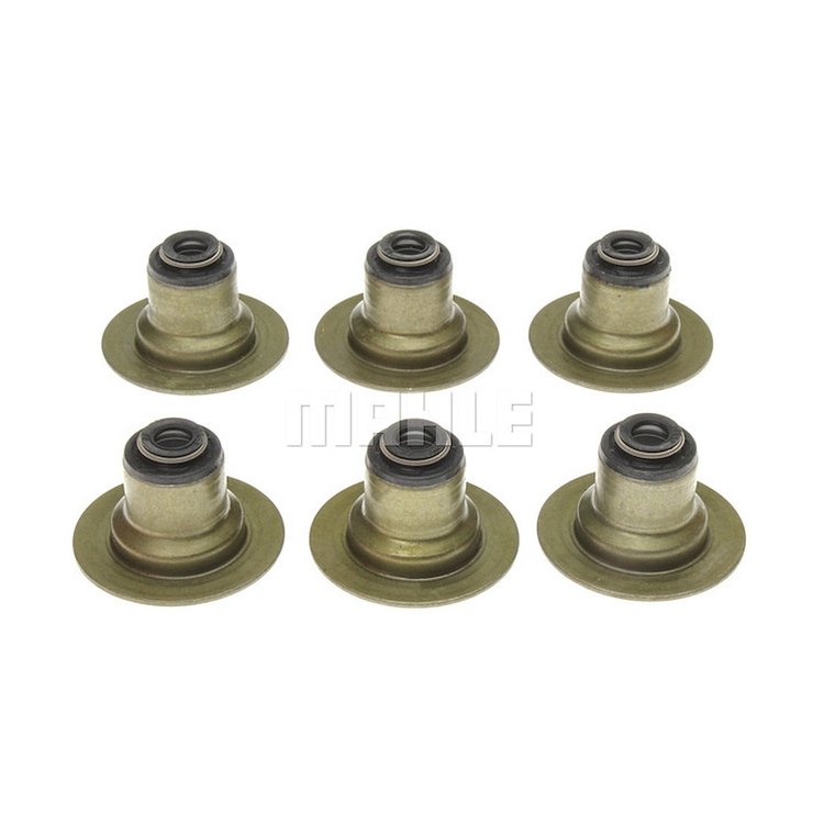 Valve Stem Seal Set