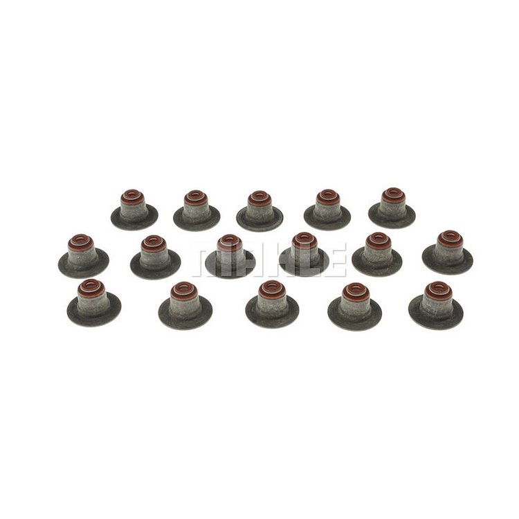 Valve Stem Seal Set