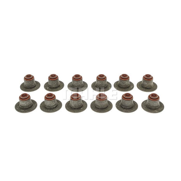 Valve Stem Seal Set