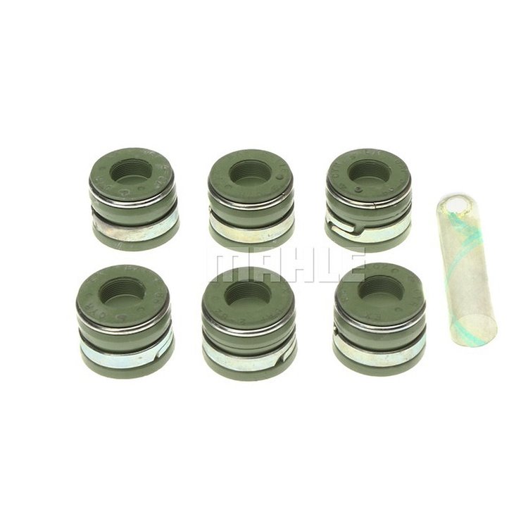 Valve Stem Seal Set