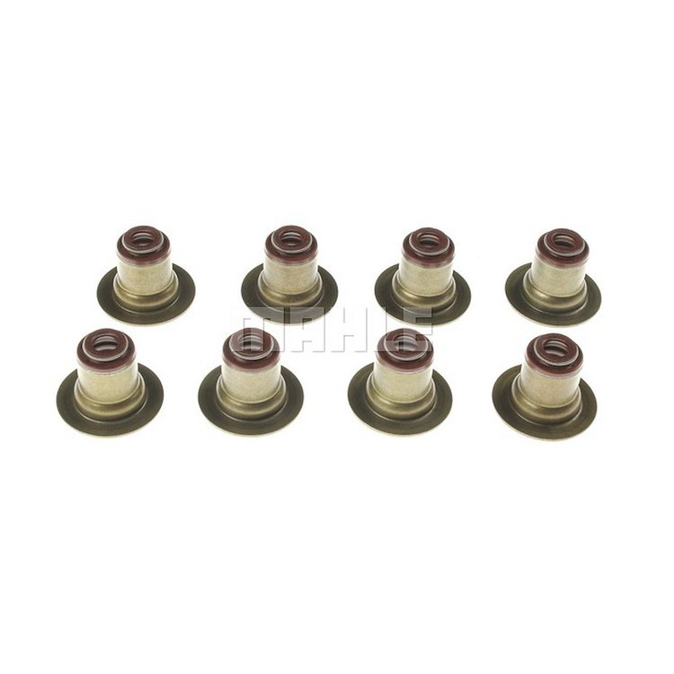 Valve Stem Seal Set