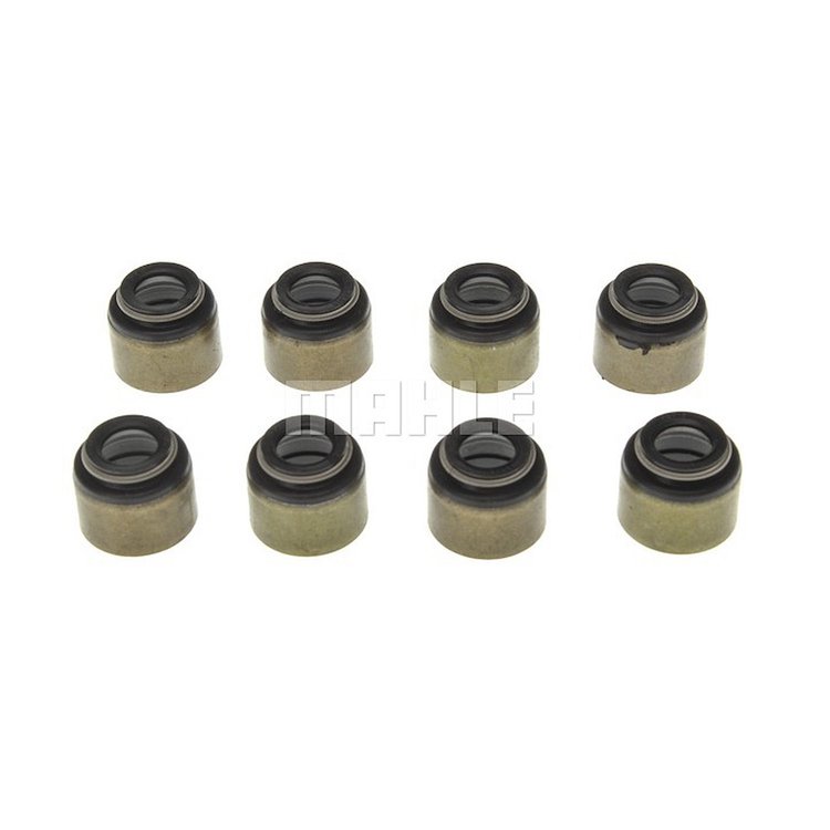 Valve Stem Seal Set