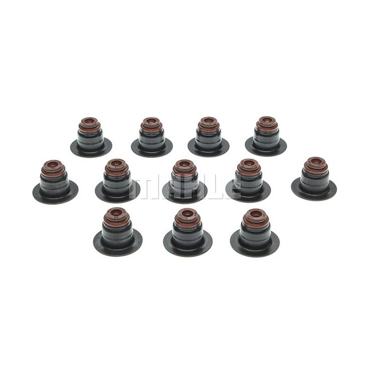 Valve Stem Seal Set