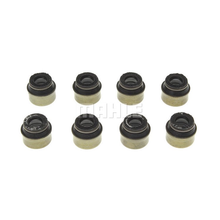 Valve Stem Seal Set