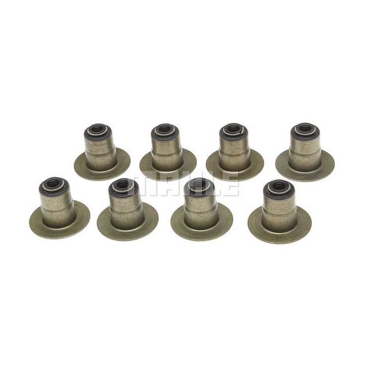 Valve Stem Seal Set
