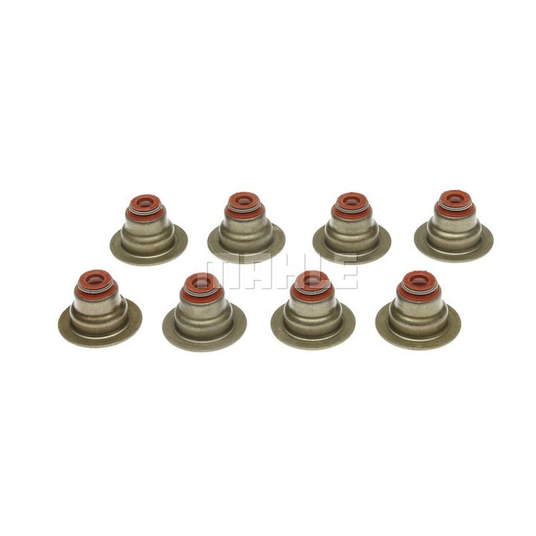 Valve Stem Seal Set