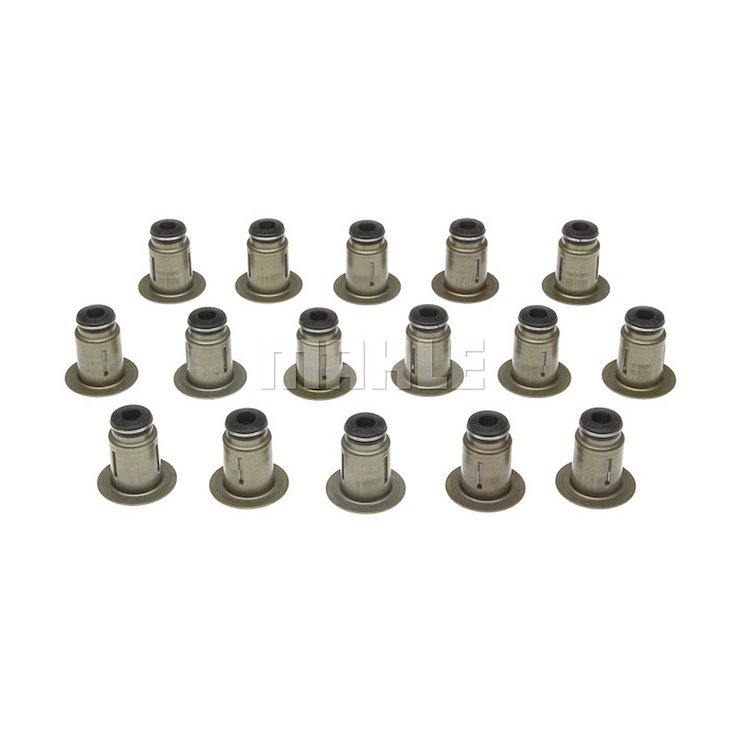 Valve Stem Seal Set