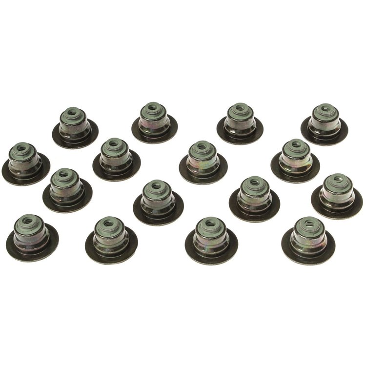 Valve Stem Seal DAEWOO 1598cc 1.6L DOHC 16 Valve A16DMS 1999-2002 INTAKE AND EXHAUST