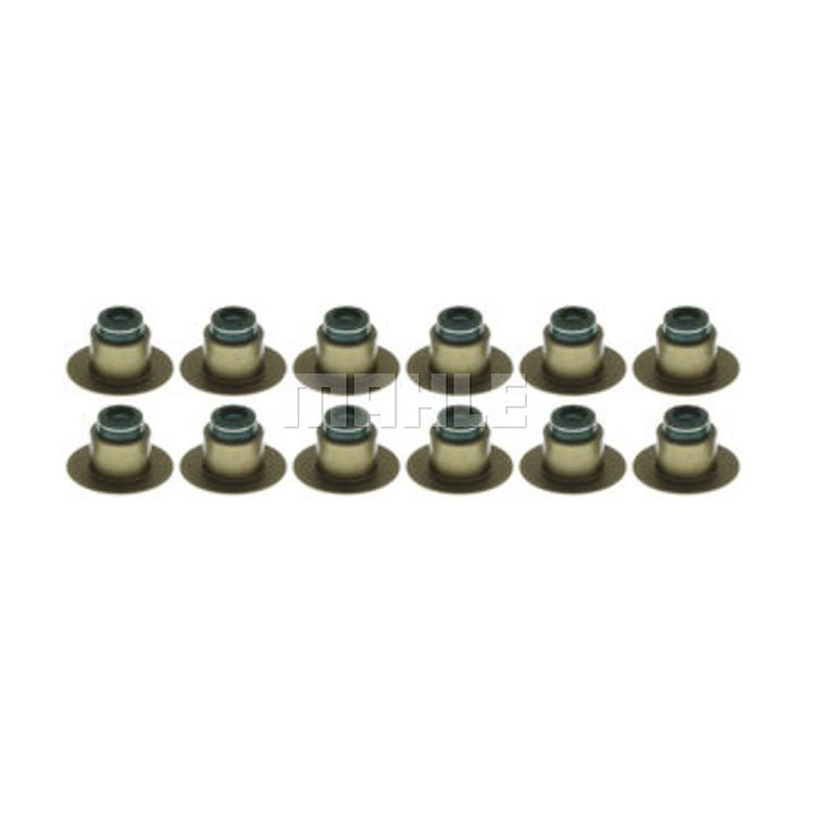 Valve Stem Seal Set